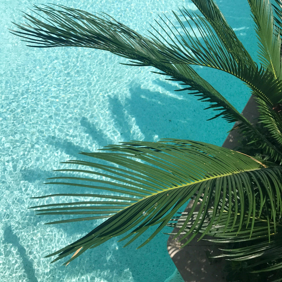 Die Top 5 Wassersportarten für den Sommer 2025